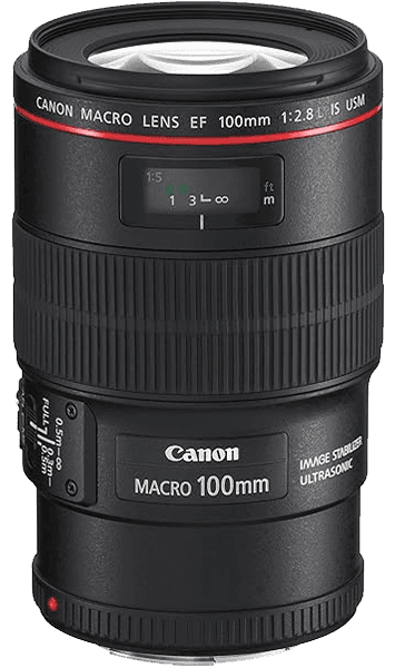 EF 100mm f/2.8 USM Macro