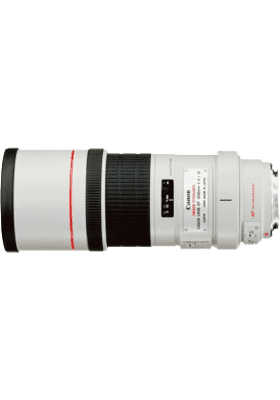 EF 300mm f/4 L USM