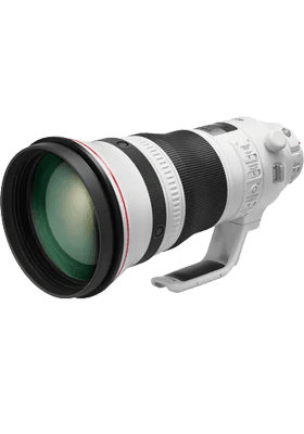 EF 400mm f/2.8 L IS USM