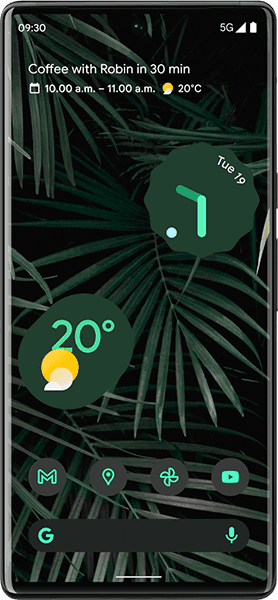 Pixel 6 Pro