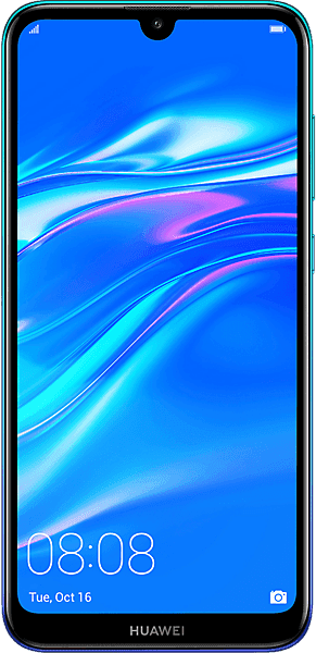 Y7 (2019)