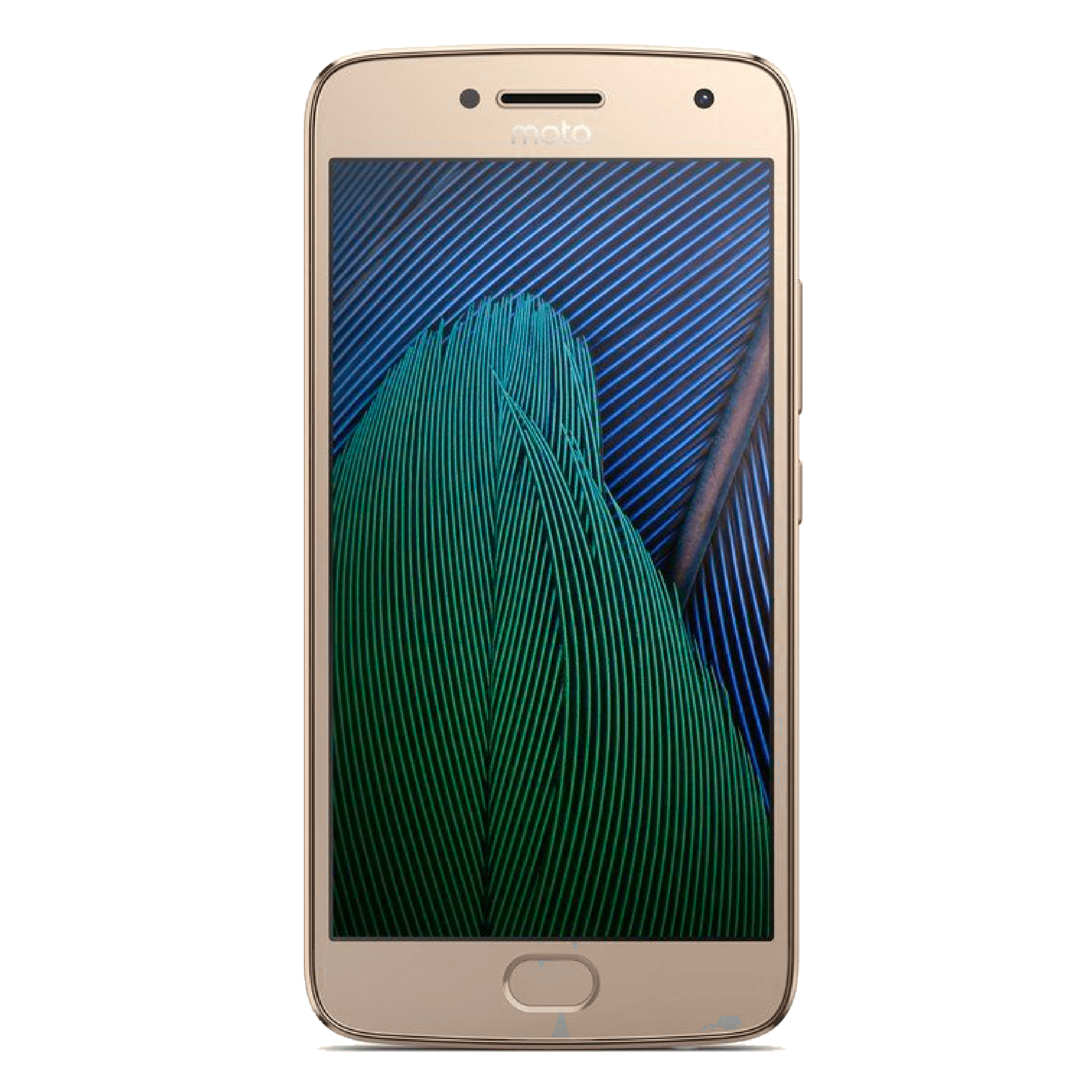 G5 Plus
