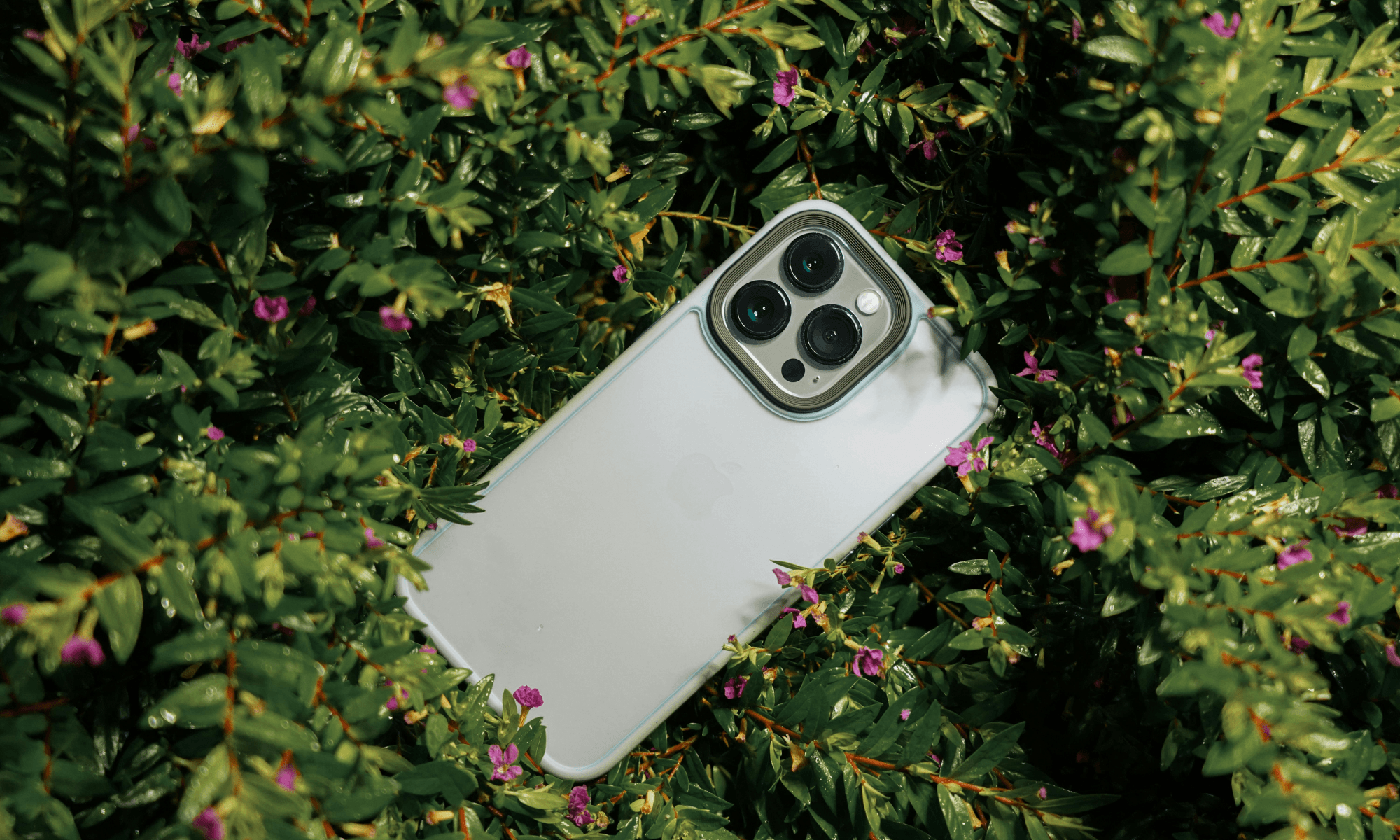 iPhone Sustainability Report: What You Need to Know